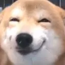 asdasd